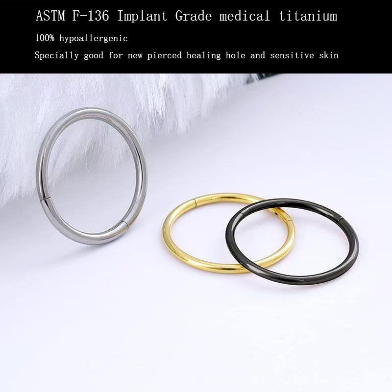 2Pcs Women Men Titanium Nose Rings Hoops 20G 18G 16G 14G 12G Hinged Nose Clicker for Nostril Septum Cartilage Helix Tragus Conch Daith Rook Lip Ear Lobe Piercings Diameter 6mm/7mm/8mm/9mm/10mm/11mm/12mm/14mm/16mm Sliver-Gold-Black-Rose Gold - color: Gold,