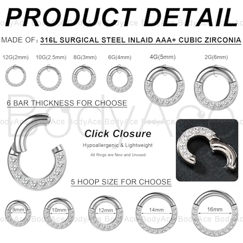 CZ Hinged Segment Clicker PA Rings, 2G 4G 6G 8G 10G 12G Large Septum Nose Rings, Surgical Steel Spring Action BCR Ring Ear Gauges Earrings Hoops - color: 6G(4mm),Hoops:14mm