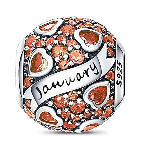 HappyStar 925 Sterling Silver Month Birthstone Charm for Bracelets Necklace，with 5A Cubic Zirconia Dangle Pendant Bead,Happy Birthday Valentine's Day - color: 1-January Birthstones
