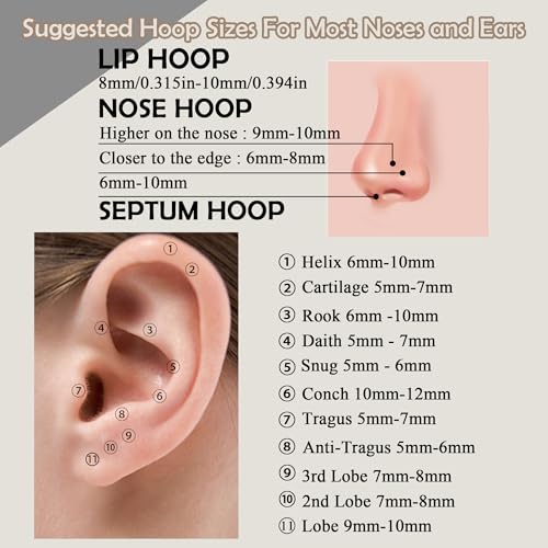 BLISI Grade 23 Titanium Nose Rings Hoops - 20G/18G/16G, 6/7/8/9/10mm Diameter, Hinged Click Rings for Nose, Lip, Helix, Cartilage, Rook - Hypoallergenic sleeper earrings, Black/Silver/Gold/Pink - color: 1PC, Black, size: 18 Gauge, 6mm