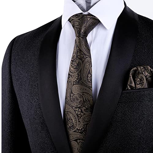 Alizeal Mens Gradient Paisley Necktie and Pocket Square Set | Elegant Design Perfect for Weddings Banquets Business Formal Events - color: 170-coffee