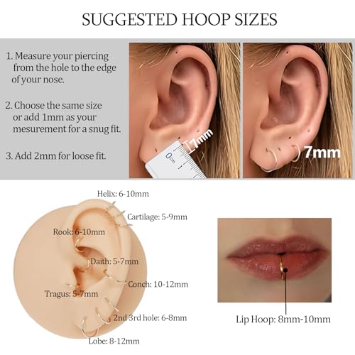 2Pcs Titanium Nose Rings 20G 18G 16G 14G Nose Rings Hoops Diameter 5mm to 12mm Silver-Gold-Rose Gold-Black Cartilage Helix Tragus Daith Rook Hoop Earrings Hinged Segment Septum Clicker Body Piercing Jewelry - color: Rose Gold