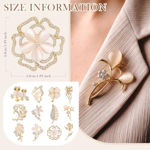 12 Pcs Women Brooches Bulk Vintage Rhinestone Pin Set - style: Cats Eye