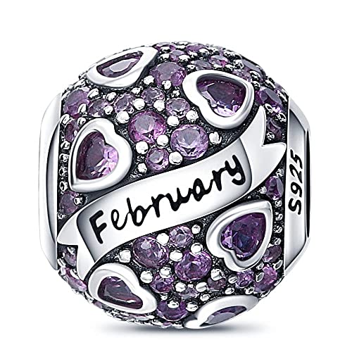 HappyStar 925 Sterling Silver Month Birthstone Charm for Bracelets Necklace，with 5A Cubic Zirconia Dangle Pendant Bead,Happy Birthday Valentine's Day - color: 2-February Birthstones