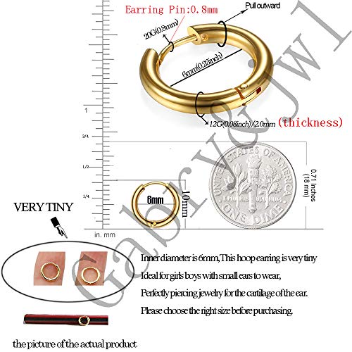 316L Surgical Stainless Steel Huggie Hoop Earrings 6mm 8mm 10mm 11mm 12mm 14mm Hypoallergenic Earrings Hoop Cartilage Helix Lobes Hinged Sleeper Earrings For Men Women - style: A01:6mm Gold(THK 2.0mm)