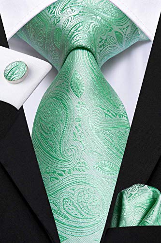 Dubulle Mens Paisley Striped Tie Woven Necktie for Men and Handkerchief Cufflinks Set Wedding Formal Business - color: B Mint Green