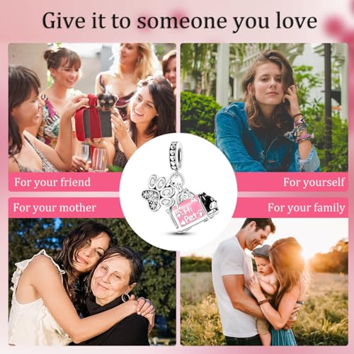 MULA 925 Sterling Silver Charms for Bracelets and Necklace Family Pendants | Airplane Travel Dangle Beads Family Tree Jewelry Charms for Women - color: Pet Bag