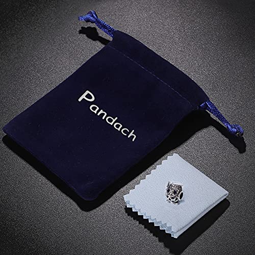 Pandach 925 Sterling Silver Charms Beads for Bracelets and Necklaces Butterfly and Headphones Pendants Clover Charms Jewelry Gift for Women - style: owl Bead Charm