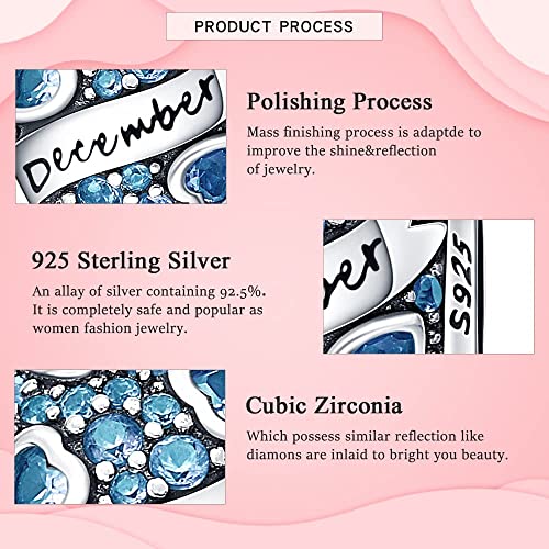 HappyStar 925 Sterling Silver Month Birthstone Charm for Bracelets Necklace，with 5A Cubic Zirconia Dangle Pendant Bead,Happy Birthday Valentine's Day - color: 12-December Birthstones