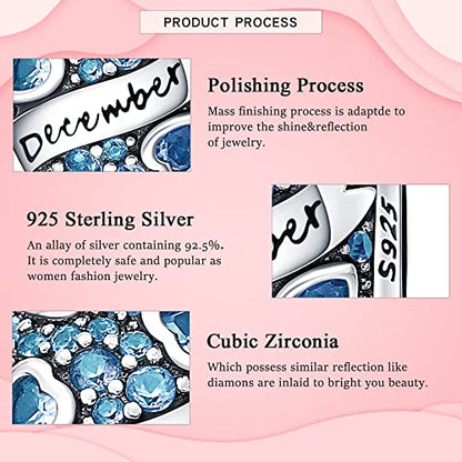 HappyStar 925 Sterling Silver Month Birthstone Charm for Bracelets Necklace，with 5A Cubic Zirconia Dangle Pendant Bead,Happy Birthday Valentine's Day - color: 12-December Birthstones