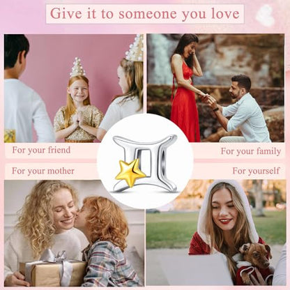 925 Sterling Silver 12 Astrological Signs Charm for Bracelets and Necklace Happy Birthday Charms for Bracelet and Necklace Valentine's Day Mother's Day Gift - style: Gemini Charm