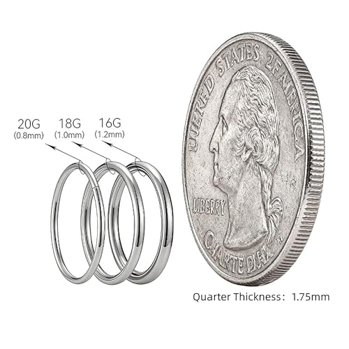 14Pcs 6/7/8/9/10/11/12MM Surgical Steel Hinged Nose Rings Hoop Set, Hypoallergenic Small Hoops Set for Cartilage Helix Lip Tragus Septum Nipple Multiple Hole.QEIFC Silver Piercing Body Jewelry Kit - size: 14Pcs-18G-Silver