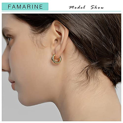 FAMARINE Chunky Thick Hoop Earrings for Women Gold Hoops Huggie Earrings for Men Gift - color: 5/8" Hoop
