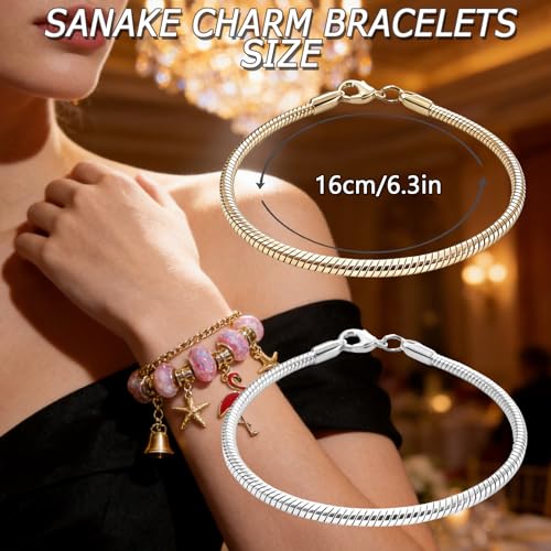 Exway 20 Pcs Snake Charm Bracelet Chain 6.5 Inch Gold and Silver Charm Bracelet Kit Snake Chain Bracelets Chain for Christmas DIY Women Jewelry Making Gifts - color: gold+silver style A, size: 6.5in