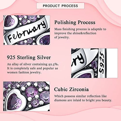 HappyStar 925 Sterling Silver Month Birthstone Charm for Bracelets Necklace，with 5A Cubic Zirconia Dangle Pendant Bead,Happy Birthday Valentine's Day - color: 2-February Birthstones