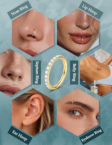 Dochais 4PCS 18G Nose Rings Hoops, Surgical Steel Earrings Tragus Septum Piercing CZ Clicker Ring, Hinged Segment Conch Lip Cartilage Double Hoops 8mm 10mm for Women Men - color: Gold, size: 20G(0.8mm),10mm