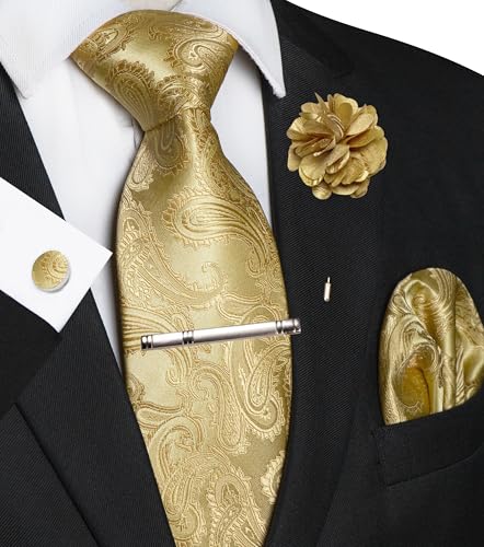 JEMYGINS Mens Paisley Tie and Pocket Square,Lapel Pin,Cufflinks,Tie Clip Sets with Gift Box 5PCS - color: 5gold
