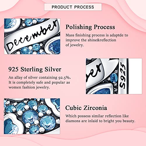 925 Sterling Silver Birthstone Charms fits Charms Bracelets for Woman，with 5A Cubic Zirconia Dangle Pendant Bead,Happy Birthday Charms for Bracelet and Necklace Valentine's Day Mother's Day Gift - color: 1-December Birthstones