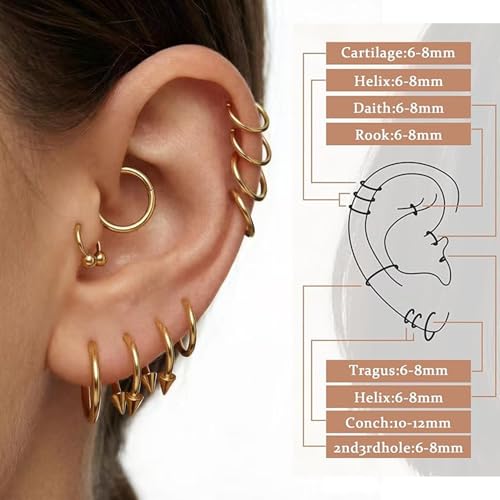 KREZIP 12 PCS 16G Hinged Segment Septum Rings Surgical Steel Horseshoe Piercing Rings Eyebrow Lip Cartilage Helix Tragus Earrings Piercing Jewelry for Women Men 6/8/10/12MM Gold Plated/Silver - style: 16G 6/8/10/12mm-Gold
