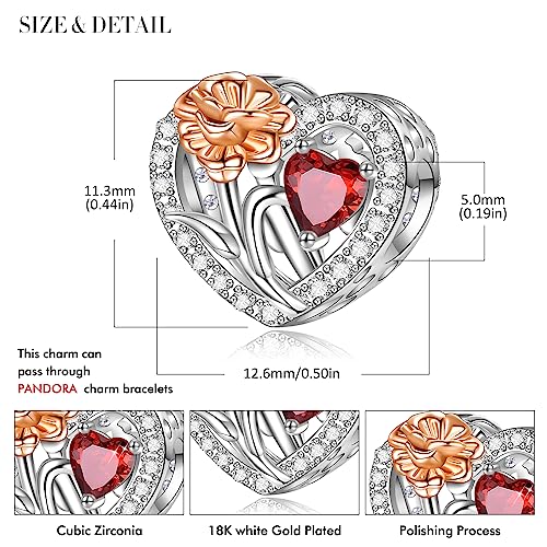 Birth Flower Birthstone Charm for Pandora Charms Bracelets Necklace 925 Sterling Silver Heart Love Charm Birthday Mother's Day Christmas Jewelry Gifts - color: 01-January