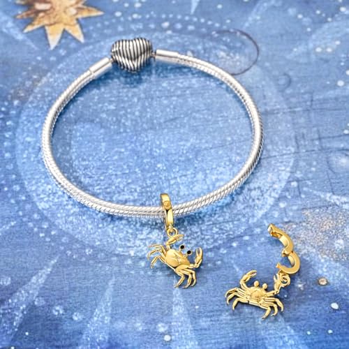 LAZA 925 Silver Charms for Bracelets and Necklaces Gold charms for Women | Summer Travel Party Lucky Zodiac Charms Clearance Pendant Beads Christmas Birthday Graduation Gift Jewelry for Women - color: Cancer