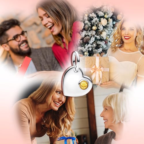 Birthstone Charm, Heart Charm Pendant Dangle with CZ, for Anniversary Birthday Mothers Valentines Day Christmas Graduation, for Yourself Family Mom Friend Girlfriend Sister Grandma - style: Nov.