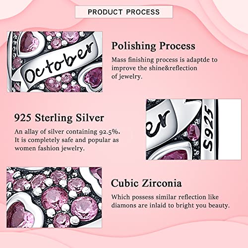 925 Sterling Silver Birthstone Charms fits Charms Bracelets for Woman，with 5A Cubic Zirconia Dangle Pendant Bead,Happy Birthday Charms for Bracelet and Necklace Valentine's Day Mother's Day Gift - color: 1-October Birthstones