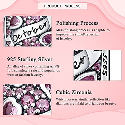925 Sterling Silver Birthstone Charms fits Charms Bracelets for Woman，with 5A Cubic Zirconia Dangle Pendant Bead,Happy Birthday Charms for Bracelet and Necklace Valentine's Day Mother's Day Gift - color: 1-October Birthstones
