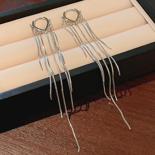 ASOQOLA Long Tassel Dangle Drop Earrings for Woman Tassel Dangling Earrings 925 Silver Chandelie dangling earring for Prom Fashion Jewelry - color: D Silver