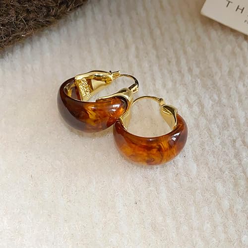 14K Gold Plated Chunky Hoop Earrings for Women Vintage Leopard Print Hoops Large Round Hoop Earrings Jewelry - style: Hoop B
