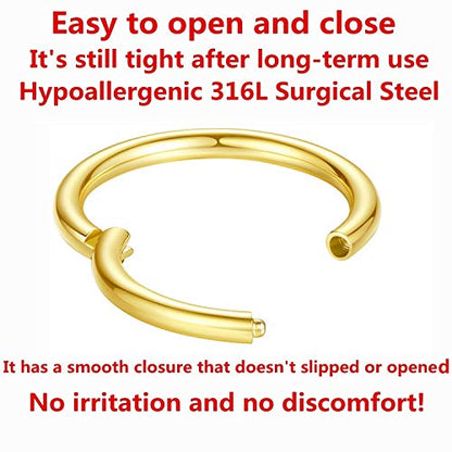 ORANGELOVE Hypoallergenic Nose Rings 20G 18G 16G 14G 12G 10G 8G 316l Surgical Steel Septum Jewelry Hinged Segment Ring Body Piercing Nose Hoop Lip Rings Nose Helix Cartilage Rook Earrings - color: Gold, size: 1pc 12 Gauge 12mm