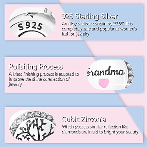 Family Love Mother Daughter Grandma Charm 925 Sterling Silver fits Bracelets Necklace Pendant Bead Charms Jewelry Gift for Women Family Friends - color: Grandma Charm