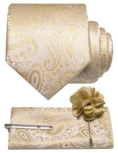JEMYGINS Mens Paisley Tie and Lapel Pin Necktie Pocket Square and Tie Clip with Sets for Business Casual 4PCS - color: Champagne