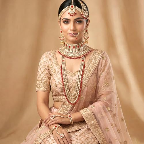 Aheli Traditional Wedding Indian Bharatanatyam jewellery set Long Choker Necklace Earrings Maang Tikka Nath Paasa Hath Phool for Women - color: Red