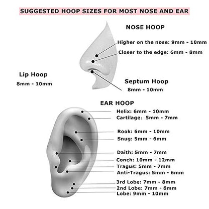 MissNity 20G, 18G, 16G, 14G Hinged Nose Rings Hoop with Gem in 316L Surgical Steel, Septum Clicker Cartilage Earrings Conch Daith Helix Rook Ear Lobe Piercing Jewelry, Diameter 6mm to 12mm - color: 98: Black - Clear CZ