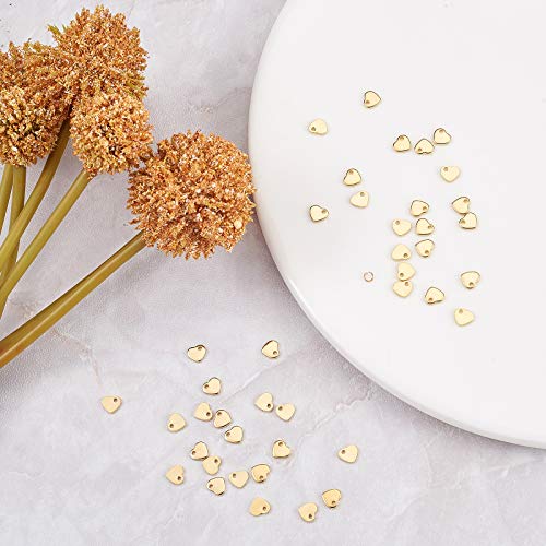 LiQunSweet 100 Pcs 304 Stainless Steel Pendants Tiny Double Side DIY Sweet Heart Pendants Charms for Bracelet Jewelry Making 6mm (0.24 Inch) - color: Heart Charms_6mm