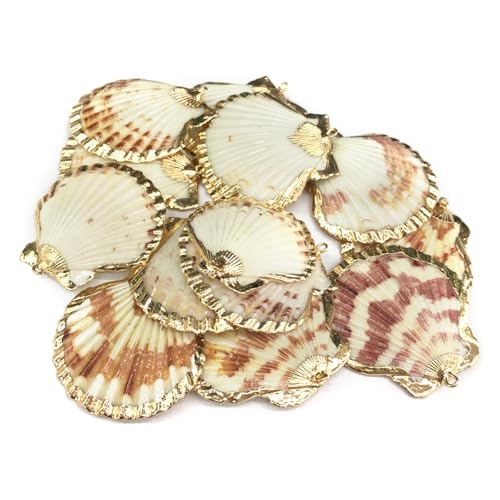 20pcs Natural Shell Pendants Charms Necklace Trendy Pendant For Making DIY Accessories Necklaces Earings