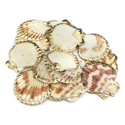 20pcs Natural Shell Pendants Charms Necklace Trendy Pendant For Making DIY Accessories Necklaces Earings