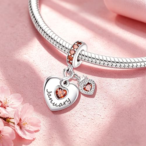 BLUELUNE Birthstone Charms, 925 Sterling Silver Dangle Charm with 5A Cubic Zirconia for Bracelets or Necklaces, Birthday, Mother's Day Present for Women - color: January