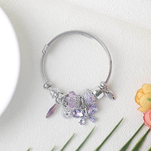 DS Charm Bracelets for girls,exquisite cute cartoon friendship bracelets Silver Stainless Steel Bangle with birthday Gift box, Adjustable girls jewelry Suitable for holiday gifts - style: Silver-purple butterfly2
