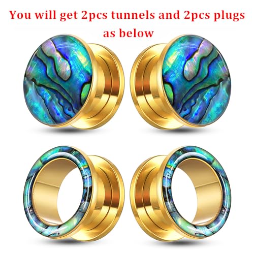2 Pairs Abalone Pearl Shell Stainless Steel Ear Gauges Plugs and Tunnels, Size 2g - 1 inch Hypoallergenic Surgical Steel Ear Stretcher Expander Body Jewelry - color: BO1651 Gold, size: 16 mm (5/8 inch)
