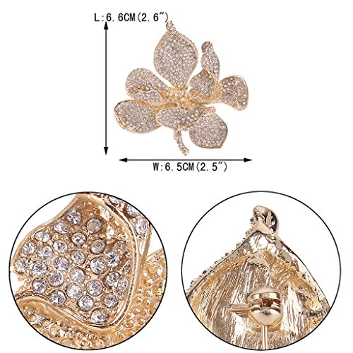 EVER FAITH Women's Austrian Crystal Orchid Flower Petal Brooch - color: Clear Gold-Tone