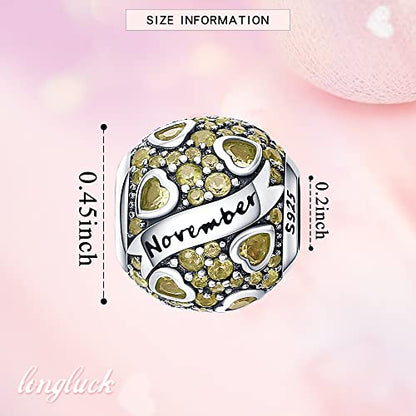 925 Sterling Silver Birthstone Charms fits Charms Bracelets for Woman，with 5A Cubic Zirconia Dangle Pendant Bead,Happy Birthday Charms for Bracelet and Necklace Valentine's Day Mother's Day Gift - color: 1-November Birthstones