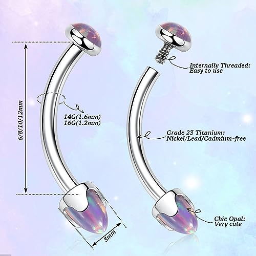 G23 Titanium Eyebrow Piercing Jewelry Eyebrow Rings Curved Barbell 16G Eyebrow Belly Button Ring Navel Rings Rook Daith Earrings Lip Ring Eyebrow Jewelry 6mm-12mm - color: 2PCS,Disc Shape +Cone Shape Purple Opal,Silver