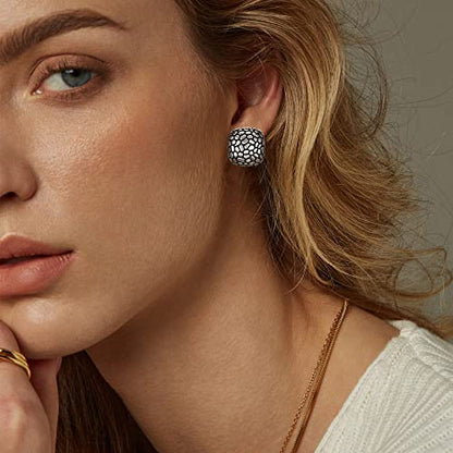 FANZE 2 Pairs Matte Gold Sliver Clip on Earrings for Women No Piercing | No Piercing Button Earring Comfortable Fashion Jewelry Gift - color: Set-6