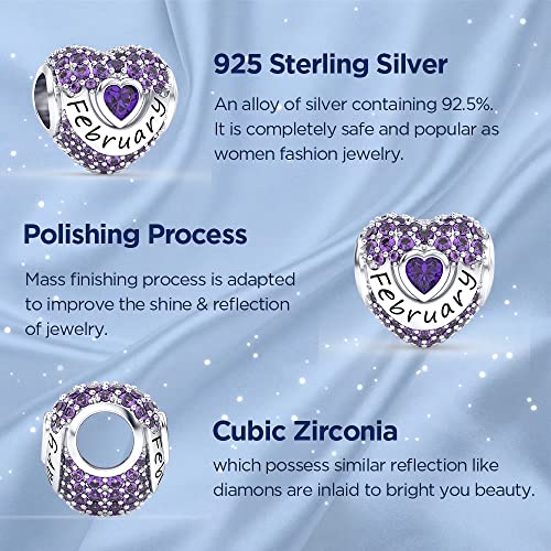 Birthstone Charms Love Heart Openwork Bead Charm for Women Bracelets and Necklaces 925 Sterling Silver with 5A Cubic Zirconia,Jewelry Gifts Women - color: Silver February Birthstone Charms