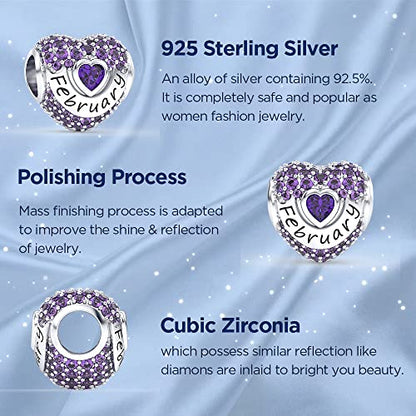 Birthstone Charms Love Heart Openwork Bead Charm for Women Bracelets and Necklaces 925 Sterling Silver with 5A Cubic Zirconia,Jewelry Gifts Women - color: Silver February Birthstone Charms
