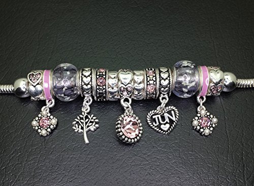 Falari Birthstone Bracelet Multi-Color Charm Beads Silvertone Birthday Gifts for Women - color: 06-June