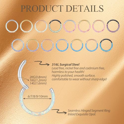 Opal Septum Jewelry Surgical Steel Septum Ring Daith Rook Tragus Earring | Hinged Segment Nose Hoop Ring,Hypoallergenic Septum Piercings for Women,Conch Cartilage Helix Jewelry,Diameter 6mm to 10mm - color: Silver,Purple Opal, size: 14G 10mm