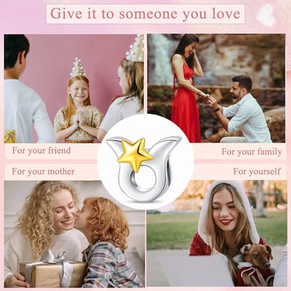 925 Sterling Silver 12 Astrological Signs Charm for Bracelets and Necklace Happy Birthday Charms for Bracelet and Necklace Valentine's Day Mother's Day Gift - style: Taurus Charm